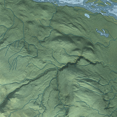Close-up of the map of Skwentna, Alaska print showing street and building detail