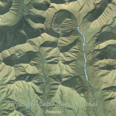 Close-up of the map of Slana, Alaska print showing street and building detail