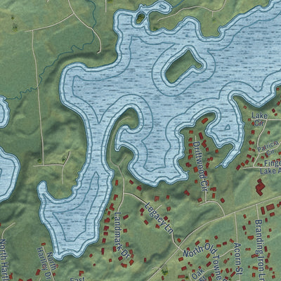 Close-up of the map of South Lakes, Alaska print showing street and building detail