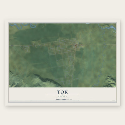 Tok, Alaska map print, the full design