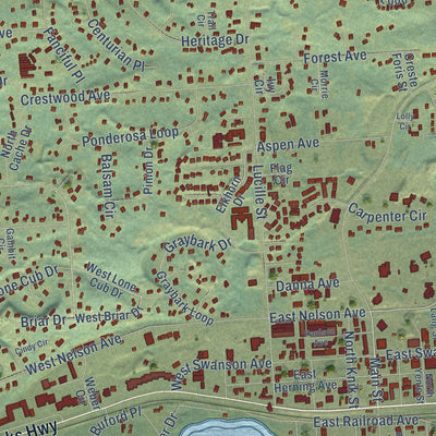 Close-up of the map of Wasilla, Alaska print showing street and building detail