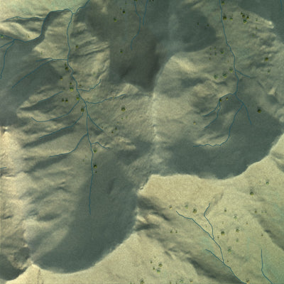 Close-up of the map of Wiseman, Alaska print showing street and building detail