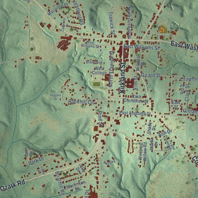 Close-up of the map of Abbeville, Alabama print showing street and building detail