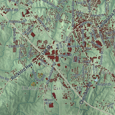 Close-up of the map of Alexander City, Alabama print showing street and building detail