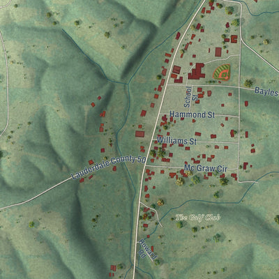 Close-up of the map of Anderson, Alabama print showing street and building detail