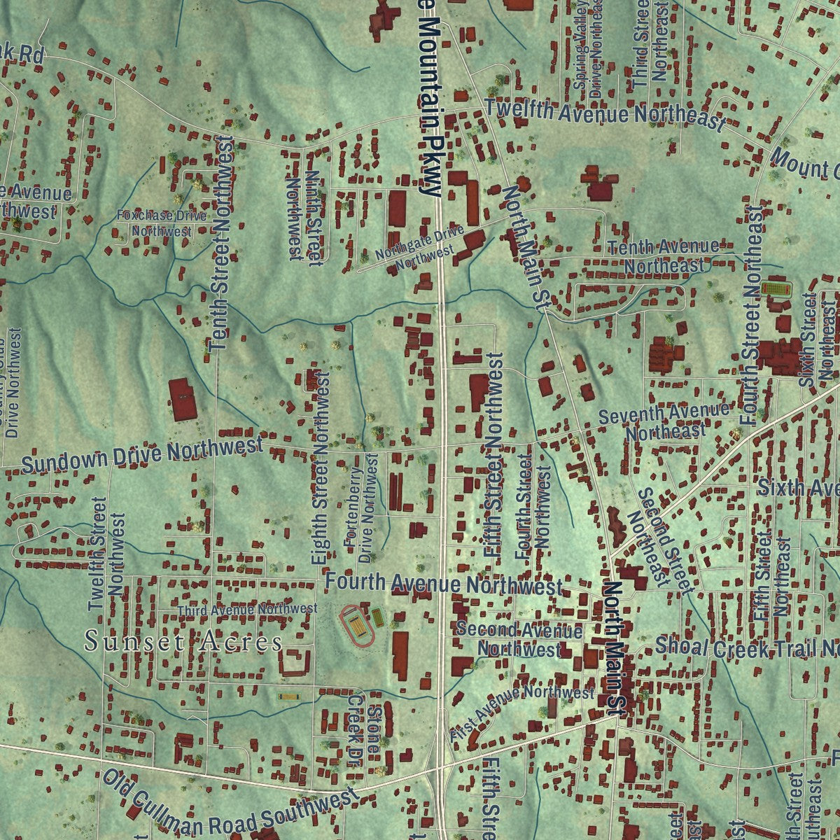 Close-up of the map of Arab, Alabama print showing street and building detail