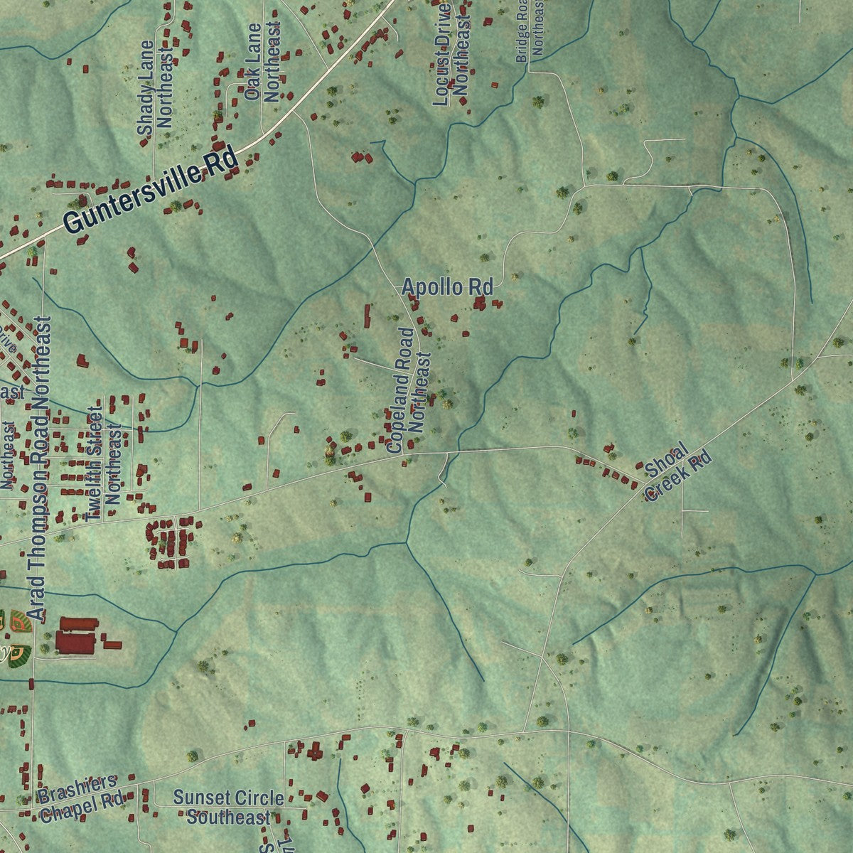 Second close-up of the map of Arab, Alabama print showing more streets and buildings