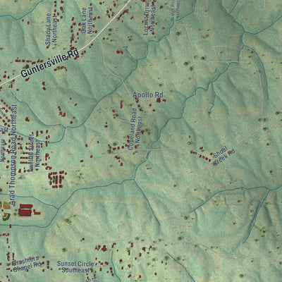 Second close-up of the map of Arab, Alabama print showing more streets and buildings