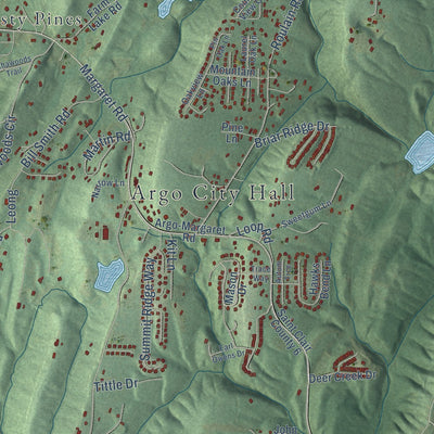 Close-up of the map of Argo, Alabama print showing street and building detail