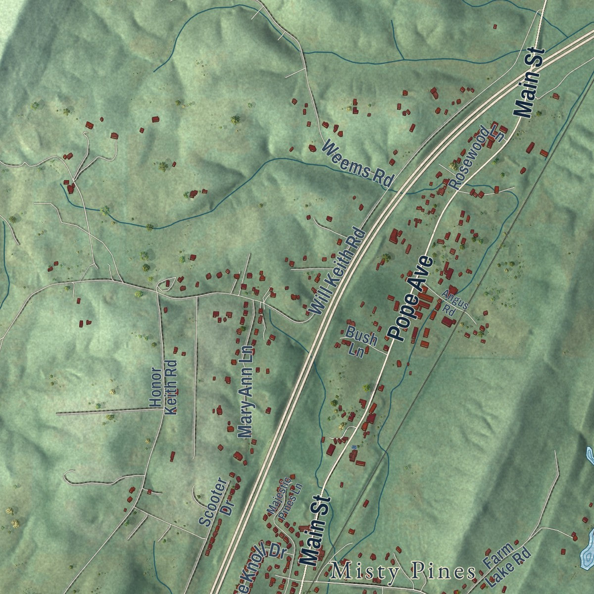 Second close-up of the map of Argo, Alabama print showing more streets and buildings
