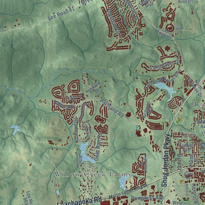 Second close-up of the map of Auburn, Alabama print showing more streets and buildings