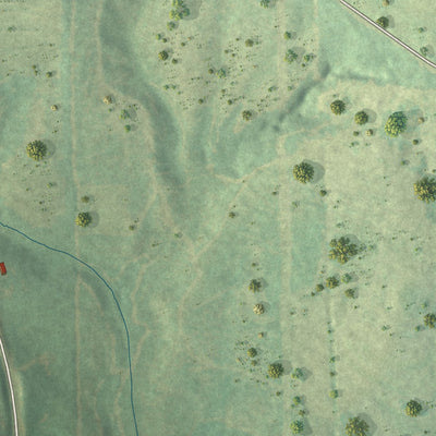 Close-up of the map of Blue Springs, Alabama print showing street and building detail