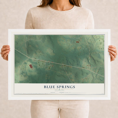 Map of Blue Springs, Alabama, 12 x 18 inch print in a white wood frame