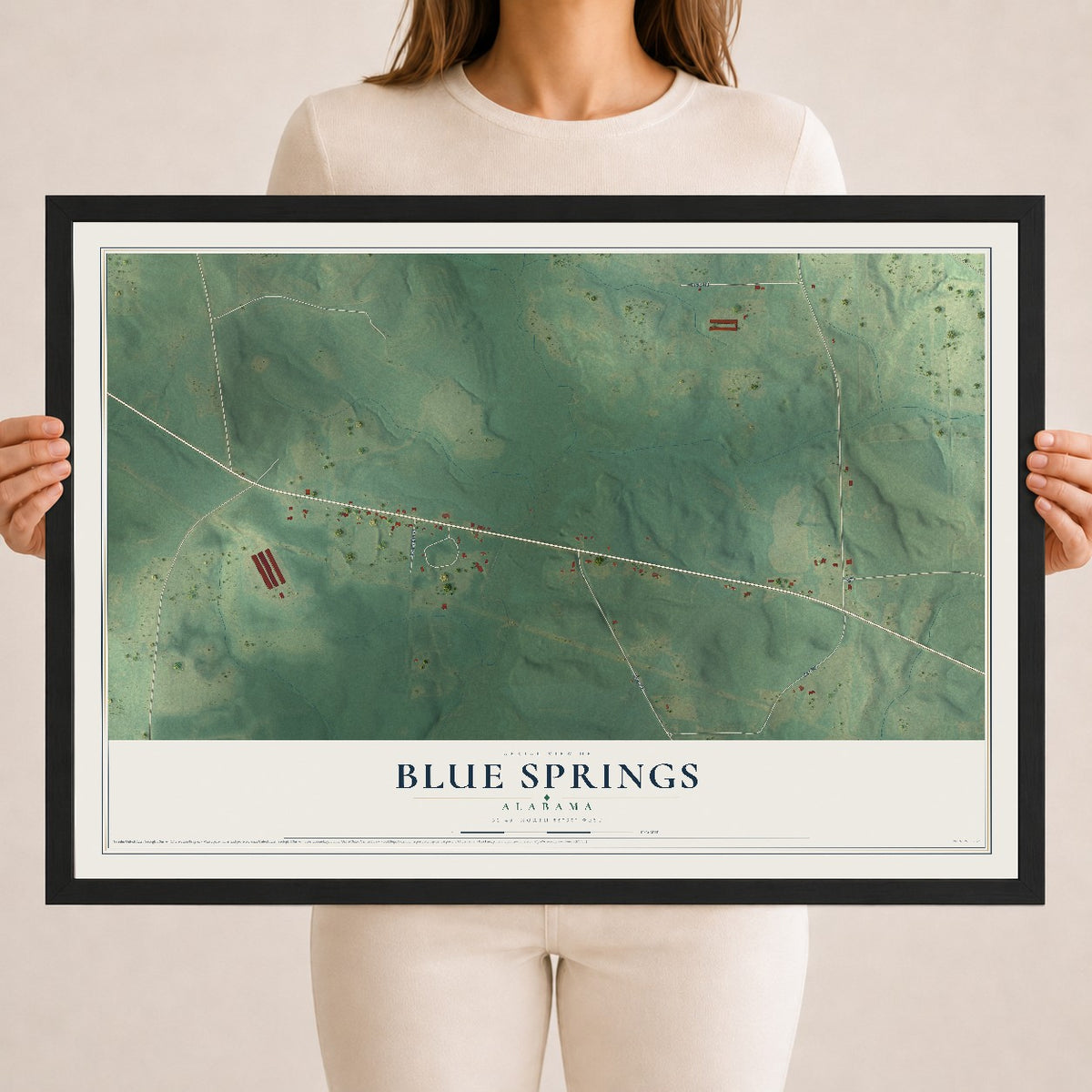 Map of Blue Springs, Alabama, 18 x 24 inch print in a black wood frame