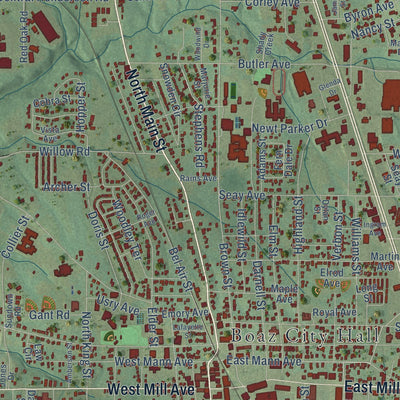 Close-up of the map of Boaz, Alabama print showing street and building detail