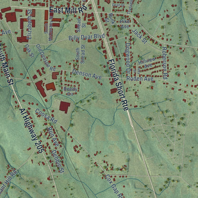 Second close-up of the map of Boaz, Alabama print showing more streets and buildings