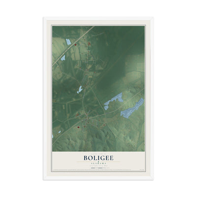 Map of Boligee, Alabama, 12 x 18 inch print in a white wood frame