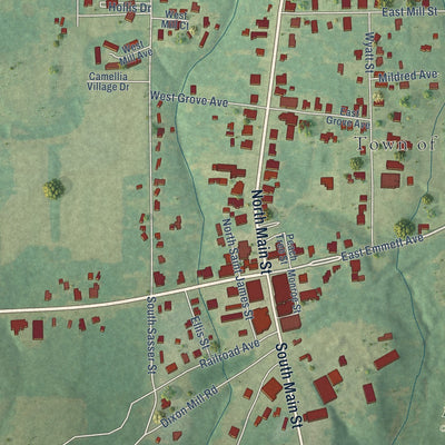Close-up of the map of Brantley, Alabama print showing street and building detail