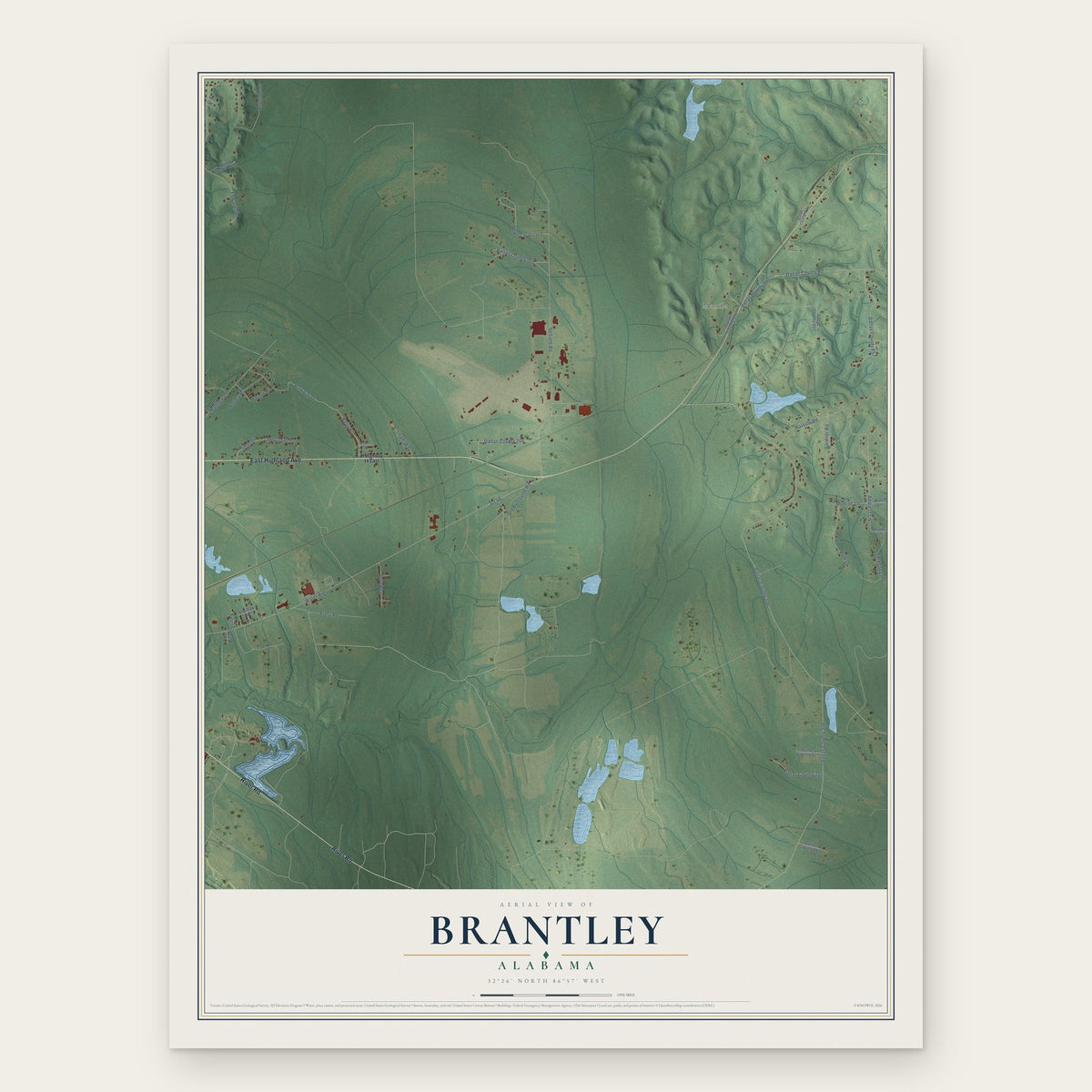 Brantley, Dallas County, Alabama map print, the full design