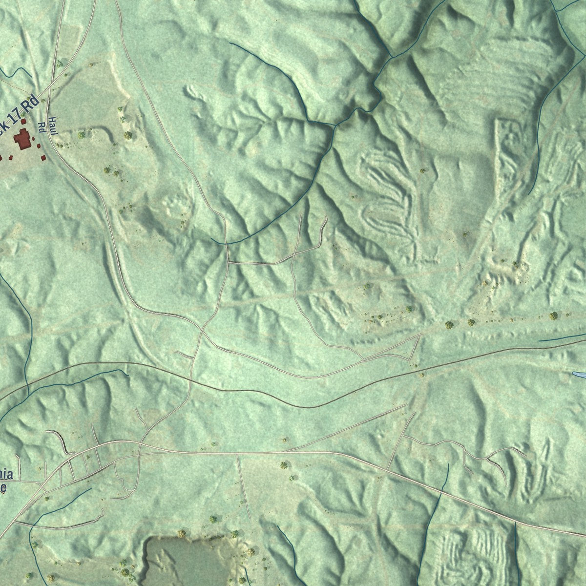 Close-up of the map of Brookwood, Alabama print showing street and building detail