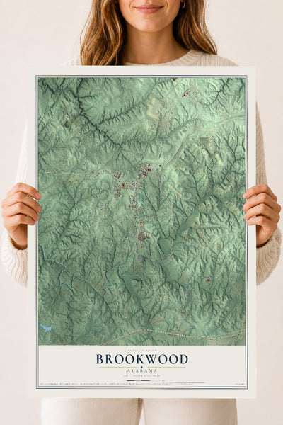 Map of Brookwood, Alabama, 18 x 24 inch unframed archival matte print
