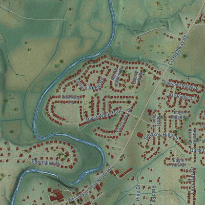 Close-up of the map of Buckhorn, Alabama print showing street and building detail