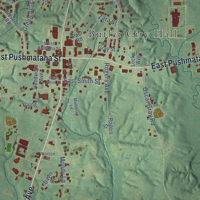 Close-up of the map of Butler, Alabama print showing street and building detail