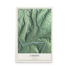 Map of Cardiff, Alabama, 12 x 18 inch unframed archival matte print