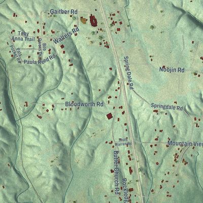 Close-up of the map of Carlisle-Rockledge, Alabama print showing street and building detail
