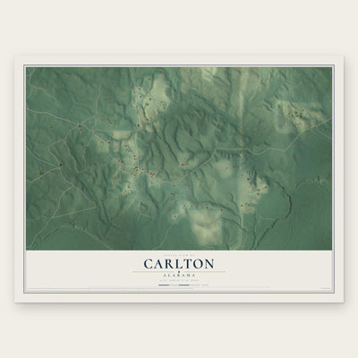 Carlton, Alabama map print, the full design