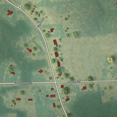 Close-up of the map of Carolina, Alabama print showing street and building detail