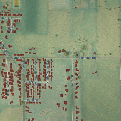 Close-up of the map of Cedar Hill, Alabama print showing street and building detail