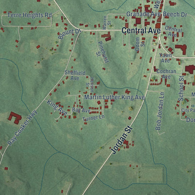 Close-up of the map of Chatom, Alabama print showing street and building detail