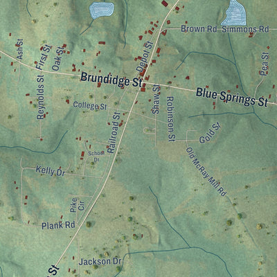 Close-up of the map of Clio, Alabama print showing street and building detail