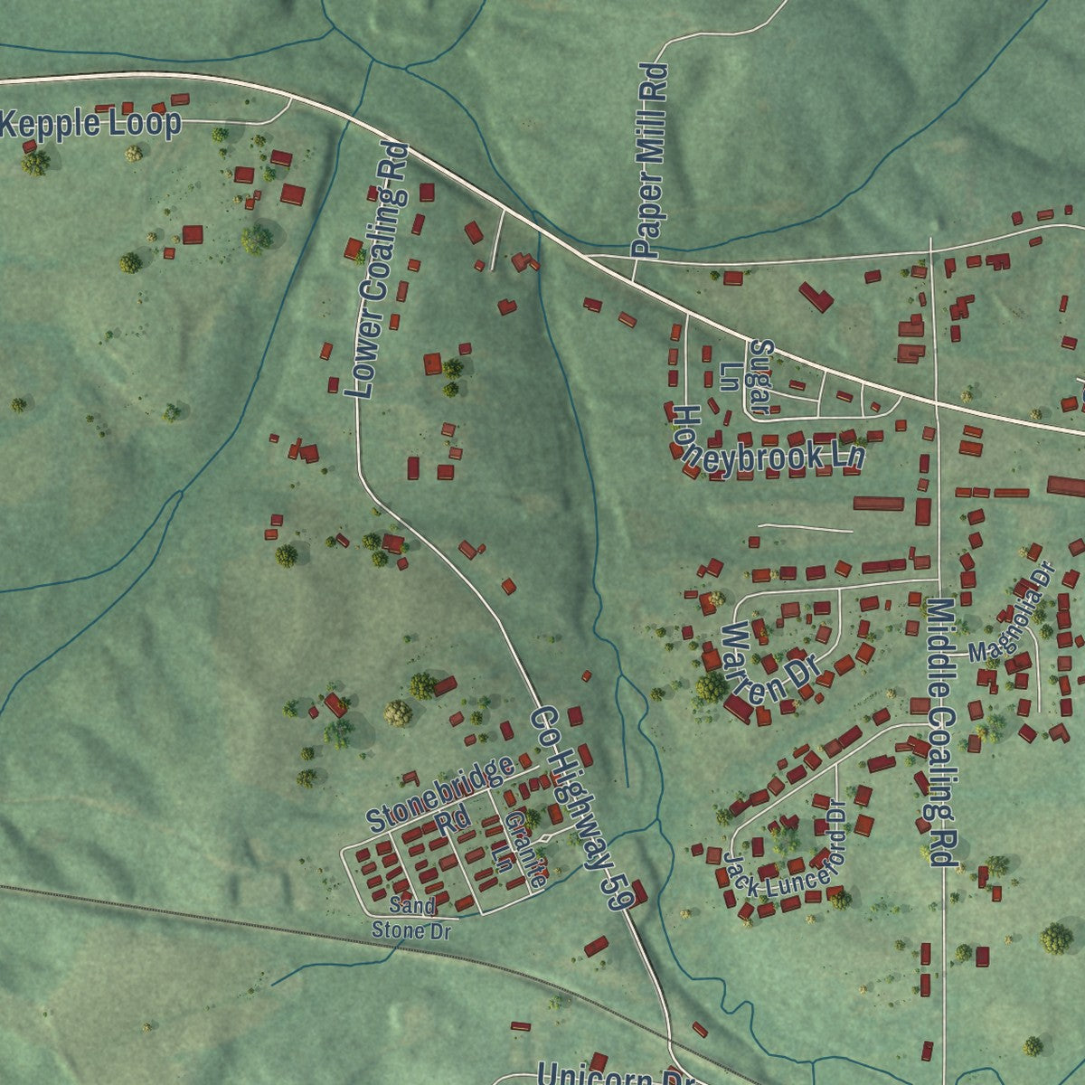 Close-up of the map of Coaling, Alabama print showing street and building detail