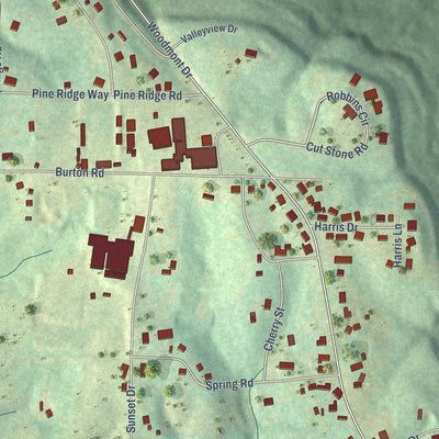 Close-up of the map of Colbert Heights, Alabama print showing street and building detail