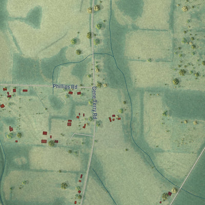 Second close-up of the map of Cottonwood, Alabama print showing more streets and buildings