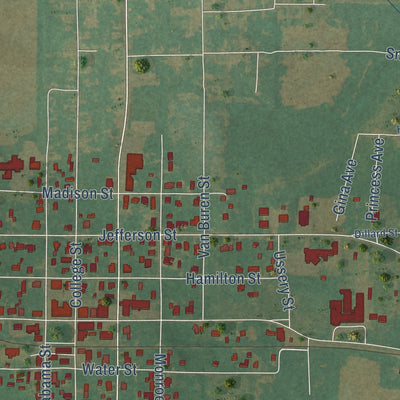 Close-up of the map of Courtland, Alabama print showing street and building detail