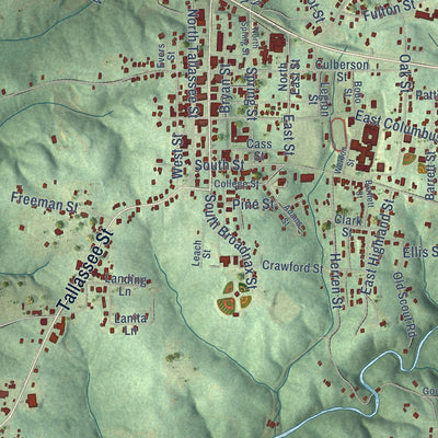 Close-up of the map of Dadeville, Alabama print showing street and building detail