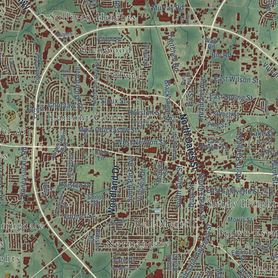 Close-up of the map of Dothan, Alabama print showing street and building detail