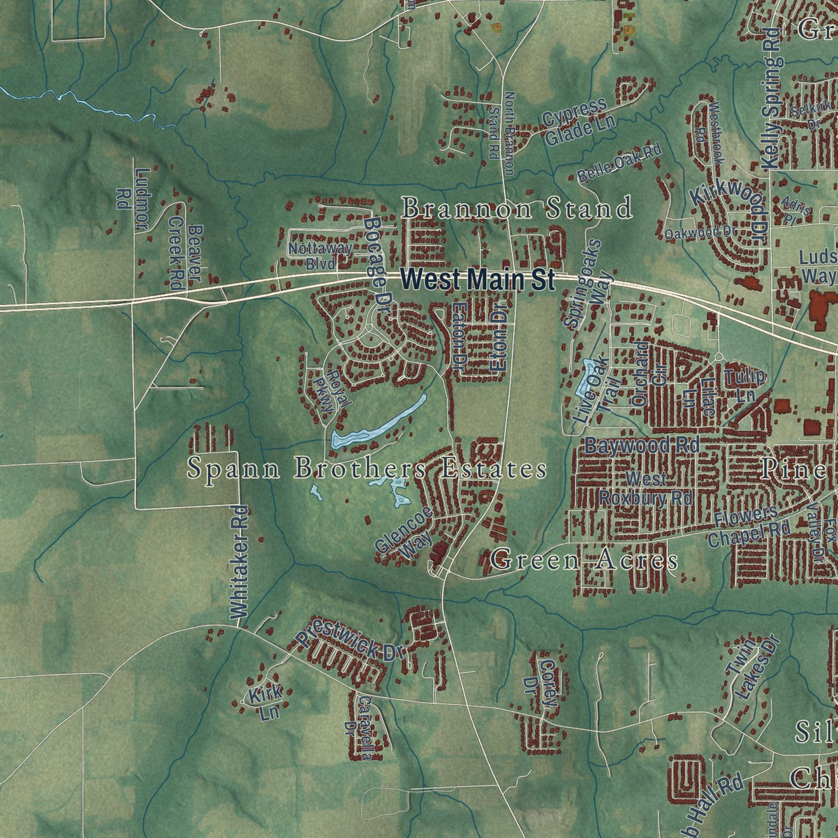 Second close-up of the map of Dothan, Alabama print showing more streets and buildings