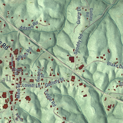 Close-up of the map of Double Springs, Alabama print showing street and building detail