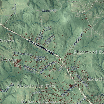 Close-up of the map of Duncanville, Alabama print showing street and building detail