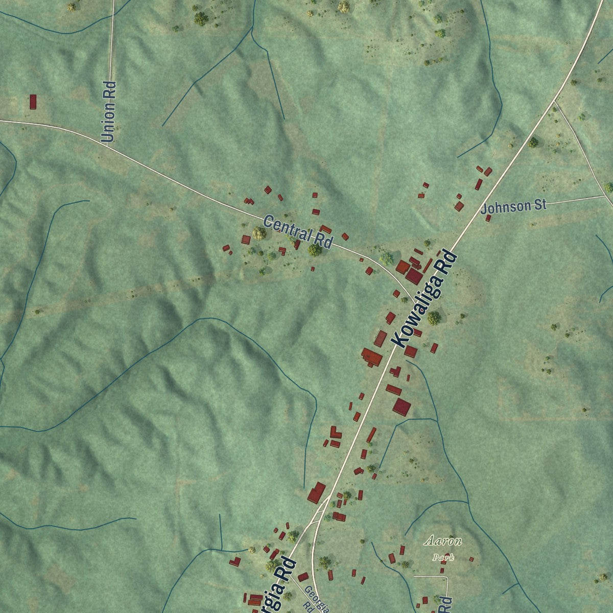 Second close-up of the map of Eclectic, Alabama print showing more streets and buildings