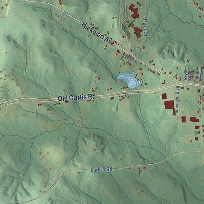 Second close-up of the map of Elba, Alabama print showing more streets and buildings