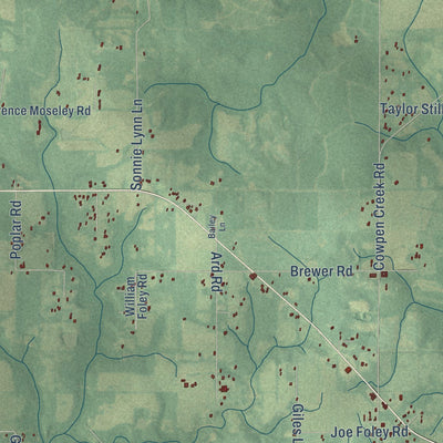 Close-up of the map of Elsanor, Alabama print showing street and building detail