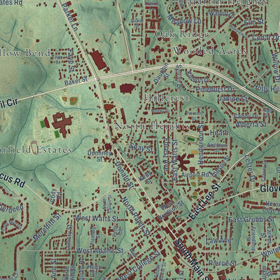 Close-up of the map of Enterprise, Alabama print showing street and building detail