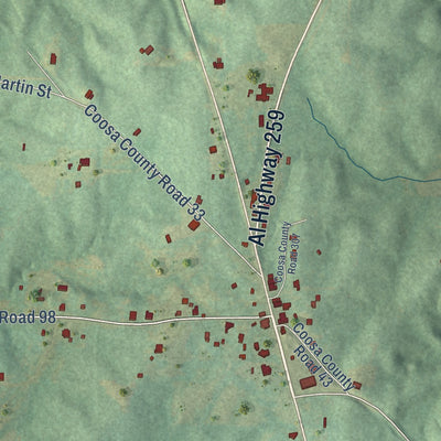 Close-up of the map of Equality, Alabama print showing street and building detail