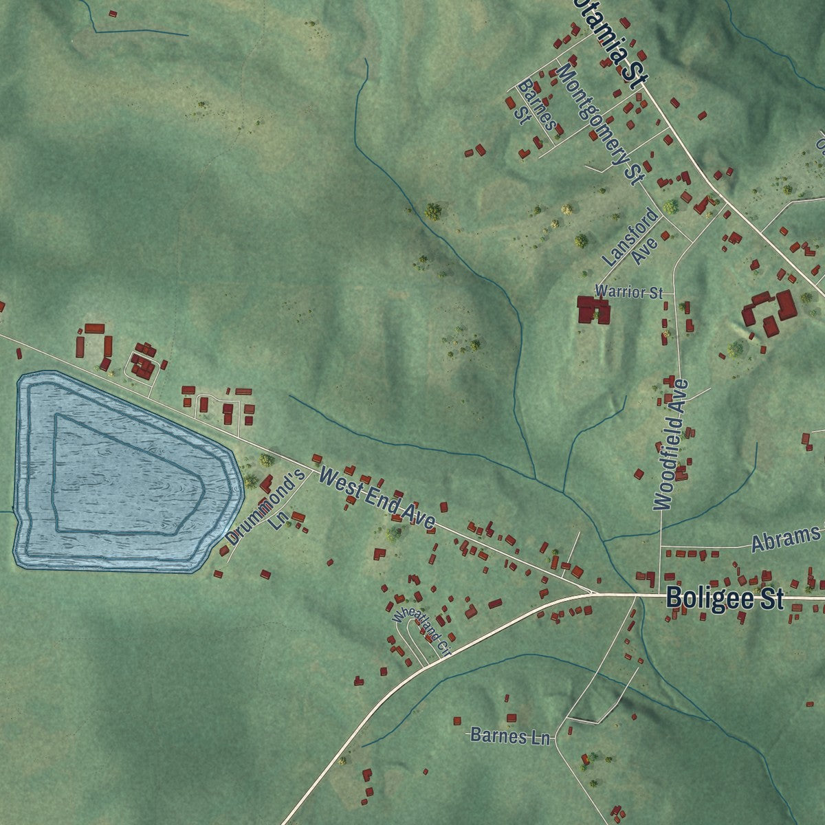 Second close-up of the map of Eutaw, Alabama print showing more streets and buildings