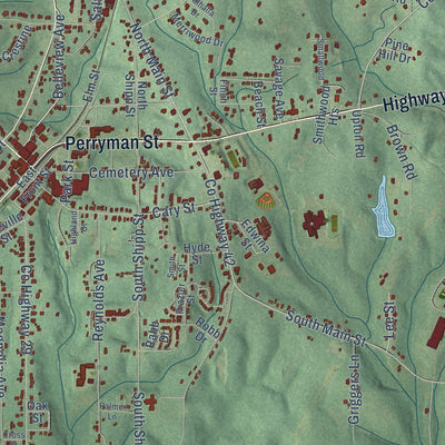 Close-up of the map of Evergreen, Alabama print showing street and building detail